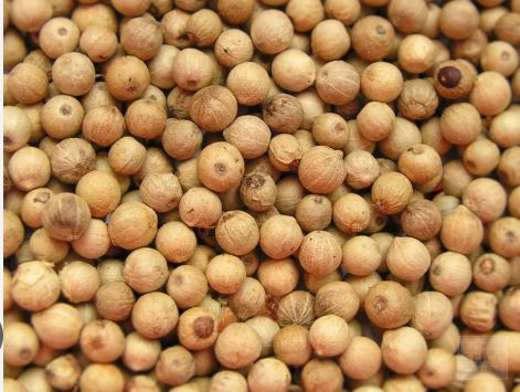 Whole White Peppercorn